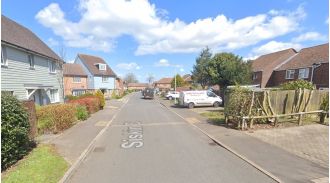 Infant girl critically injured in assault by 'XL Bully' canine.