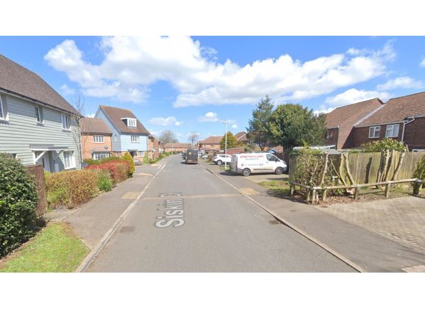 Infant girl critically injured in assault by 'XL Bully' canine.