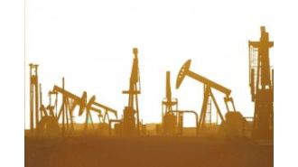 Govt. allows oil and gas exploration in Assam's hoolock gibbon sanctuary with preliminary approval.