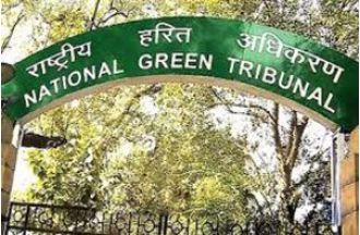 The National Green Tribunal has requested a new investigation into stone mining activities in Rahadpur.