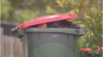 Waste worker strike may lead to thousands of uncollected bins.