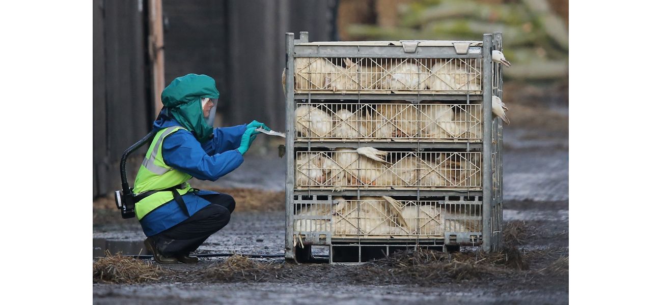 The UK has declared prevention zones for bird flu after the first case of a highly infectious strain was reported.