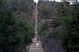 CO Springs wants people to stop decorating Manitou Incline tree for Christmas.