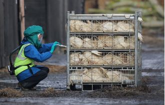 The UK has declared prevention zones for bird flu after the first case of a highly infectious strain was reported.