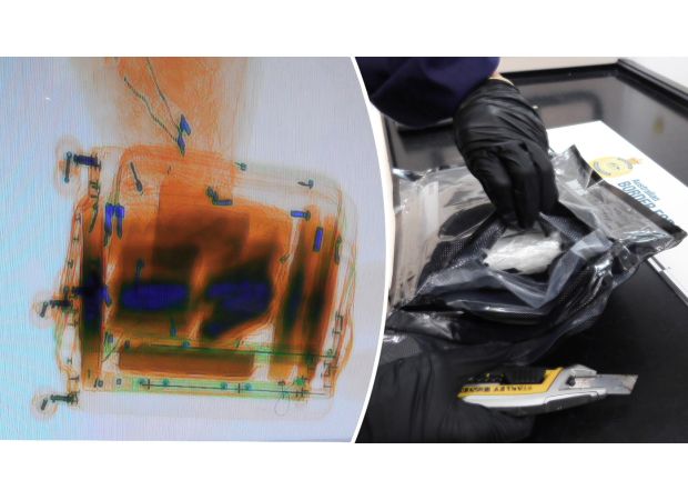 A Canadian is facing charges after 11kg of cocaine was supposedly discovered in their luggage.