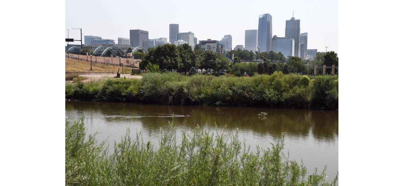 Colorado regulators may increase levels of harmful substances in urban waterways.