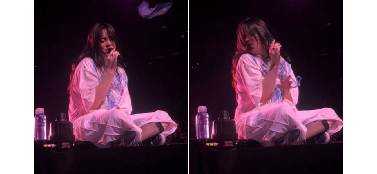 Famous singer hit in face by object thrown by audience member during concert.