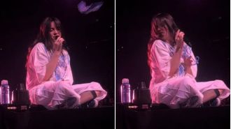 Famous singer hit in face by object thrown by audience member during concert.