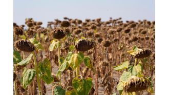 Negotiations at UN end without consensus on addressing increasing threat of worldwide drought.