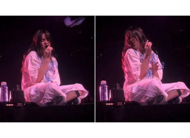 Famous singer hit in face by object thrown by audience member during concert.