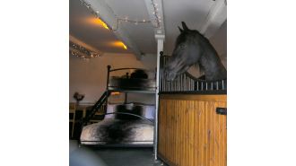 Farm in Lake District offers guests stables with horses for £350 per night.