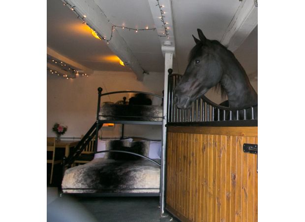 Farm in Lake District offers guests stables with horses for £350 per night.