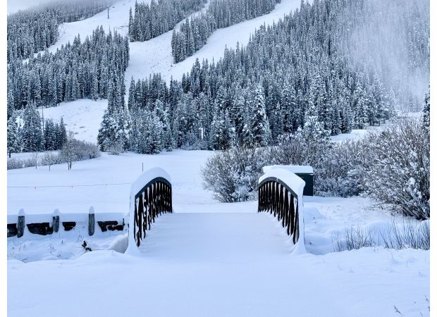 Weather in Colorado: Mountains experiencing snow, while foothills facing strong winds.