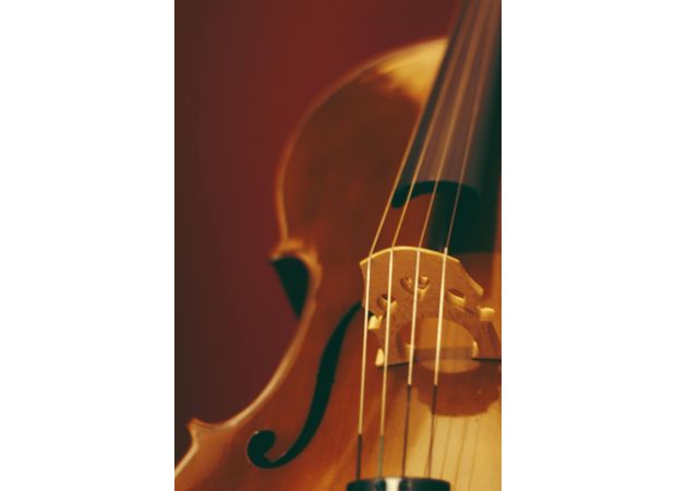 British musician cancels Canada concert due to airline refusing to accommodate $3M cello.