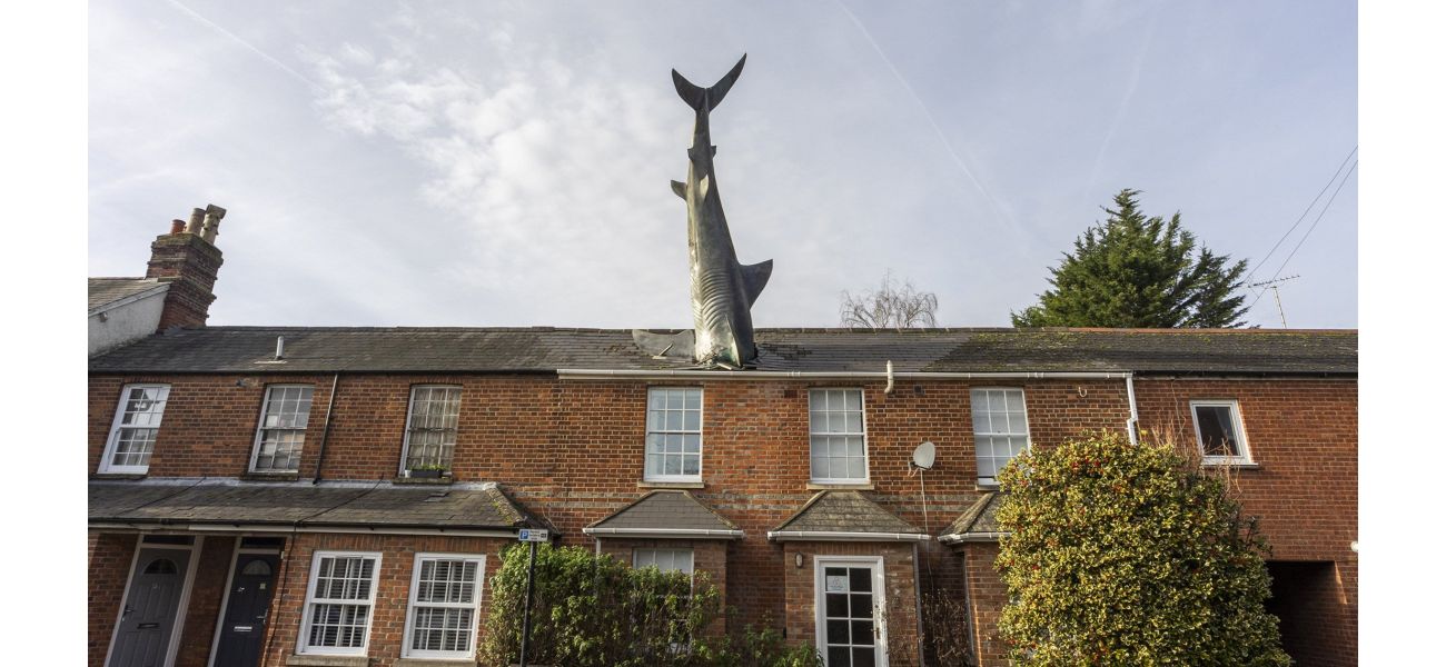 Shark House, known for controversy, encounters new obstacle as council prohibits its use on Airbnb.