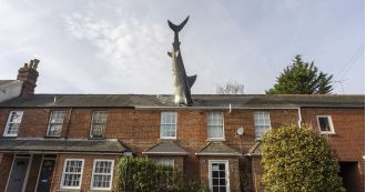 Shark House, known for controversy, encounters new obstacle as council prohibits its use on Airbnb.