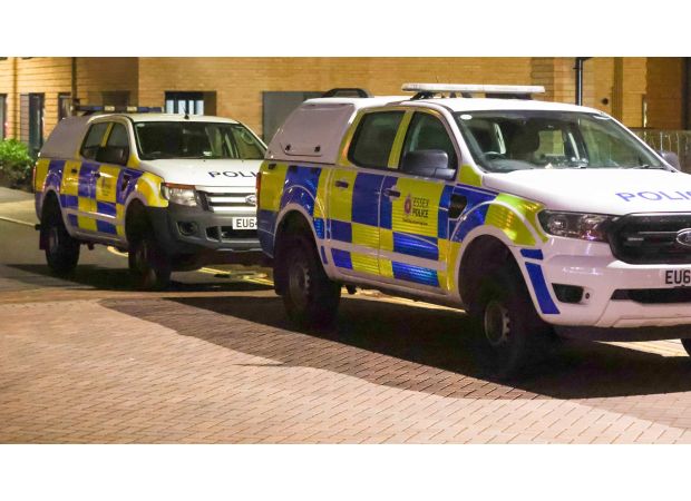 Young boy dies, woman arrested for murder in serious incident.