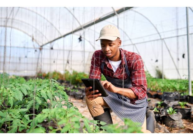Arkansas HBCU seeks new farmers for training program.