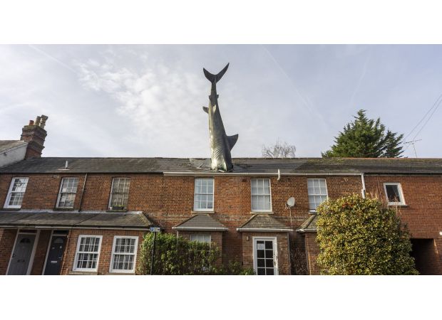 Shark House, known for controversy, encounters new obstacle as council prohibits its use on Airbnb.