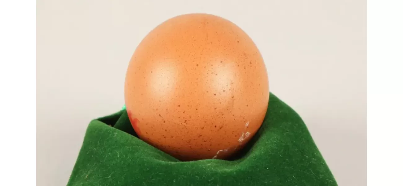 A perfectly round egg, described as 'one in a billion', was auctioned for hundreds of dollars.