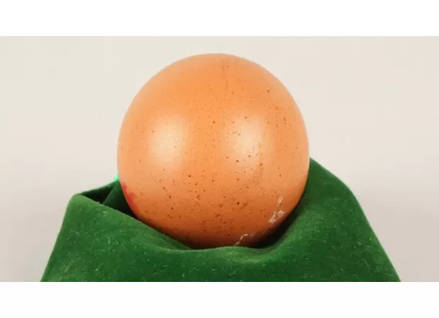 A perfectly round egg, described as 'one in a billion', was auctioned for hundreds of dollars.