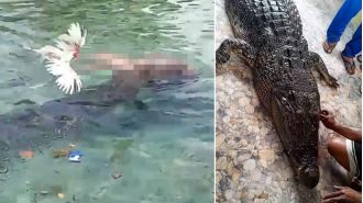 Woman killed by crocodile in hour-long attack, body recovered later by authorities.