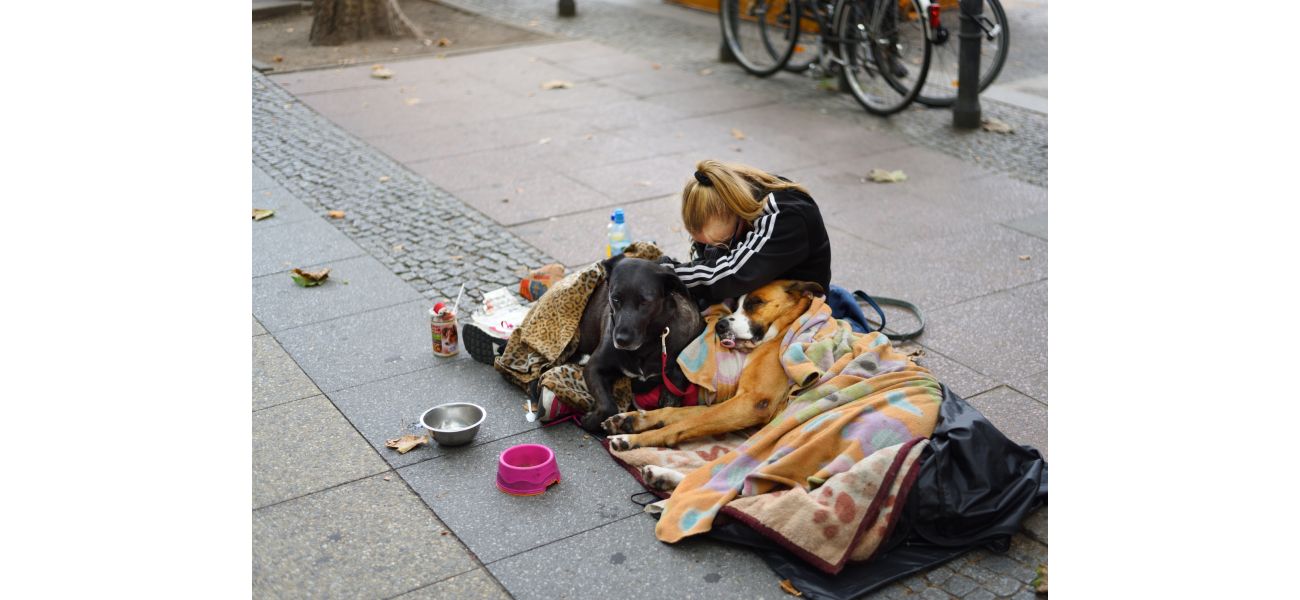 Homeless individuals prohibited from keeping pets or residing in vans by council.
