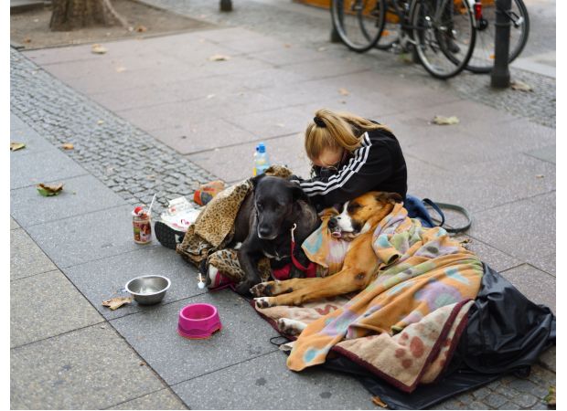 Homeless individuals prohibited from keeping pets or residing in vans by council.