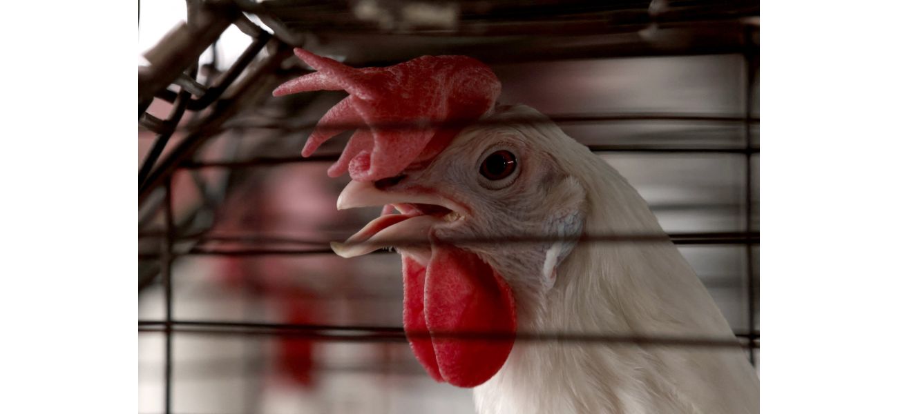 US confirms first severe case of bird flu.