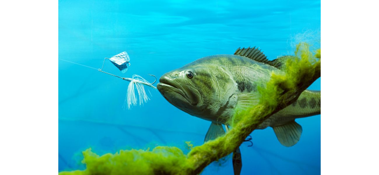 Is fishing bad? Would you want a hook in your mouth?