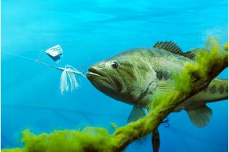 Is fishing bad? Would you want a hook in your mouth?