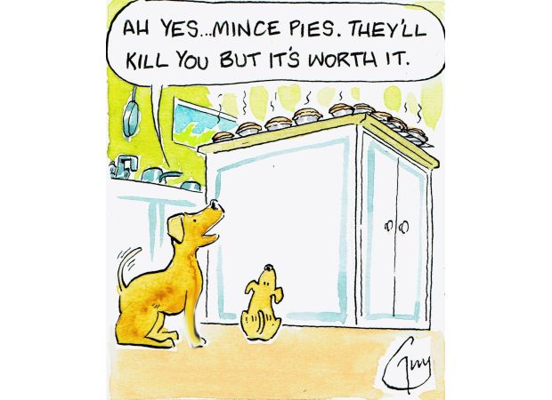 Guy Venables creates a daily cartoon for the Metro newspaper.