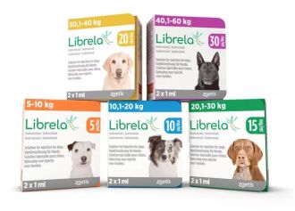 Medication for dogs is causing illness and death.