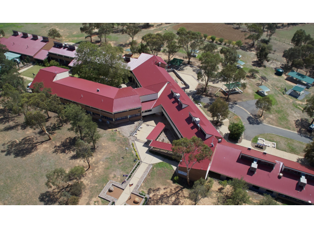 Ducks belonging to a school in NSW were found dead in a cruel and violent manner.