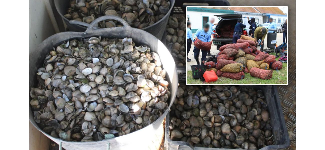 £8m worth of tainted seafood confiscated from illegal organizations.