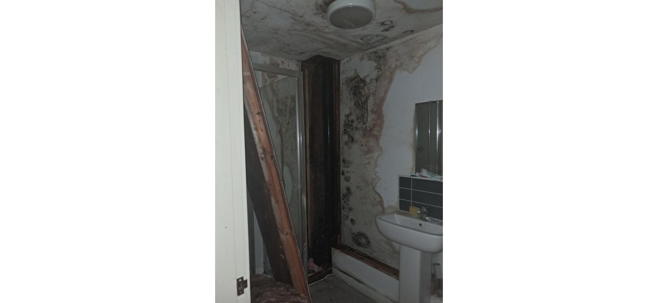 A person runs away from a mold-ridden apartment when the smell of sewage seeps through the walls.