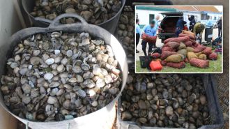 £8m worth of tainted seafood confiscated from illegal organizations.