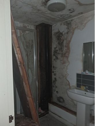 A person runs away from a mold-ridden apartment when the smell of sewage seeps through the walls.