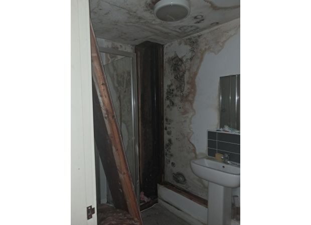 A person runs away from a mold-ridden apartment when the smell of sewage seeps through the walls.