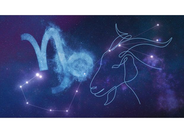 Capricorn season shows your 2025 aspiration, according to your zodiac's tarot reading.