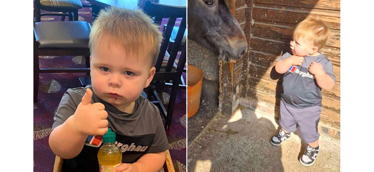 Toddler dies while dancing to Cocomelon show after fireplace falls on him.