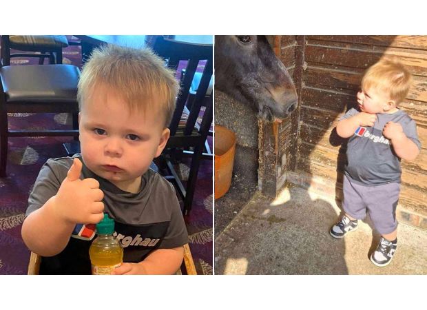 Toddler dies while dancing to Cocomelon show after fireplace falls on him.