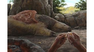 New evidence shows that giant sloths and mastodons coexisted with humans in the Americas for thousands of years.