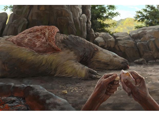 New evidence shows that giant sloths and mastodons coexisted with humans in the Americas for thousands of years.