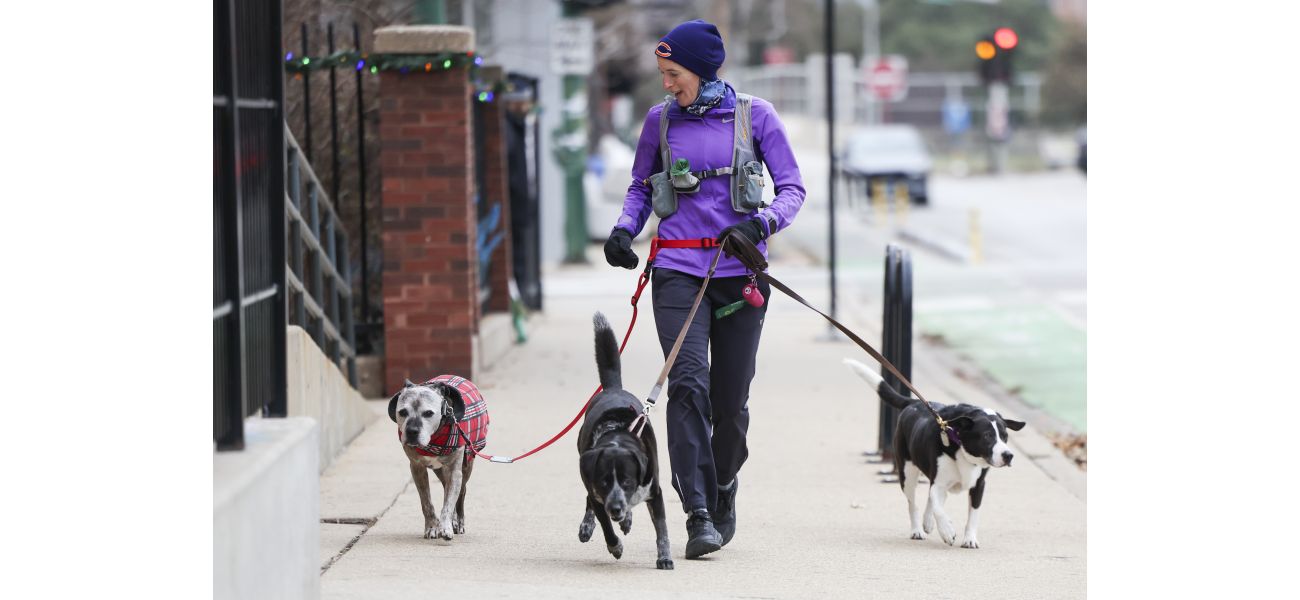 Dexter the dog's friends say goodbye and wish him luck as he moves away, reminiscing about their puppy friendships.