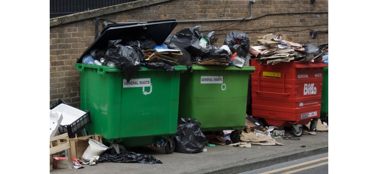 A 5-year-old girl was fined £1,000 and faced court appearances when the council accused her of fly-tipping.