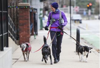 Dexter the dog's friends say goodbye and wish him luck as he moves away, reminiscing about their puppy friendships.