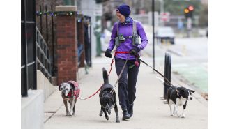 Dexter the dog's friends say goodbye and wish him luck as he moves away, reminiscing about their puppy friendships.