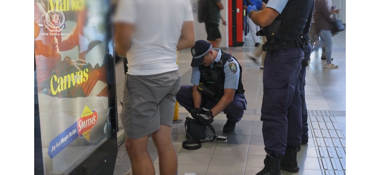 Cops discover concealed kitchen knives during raid.