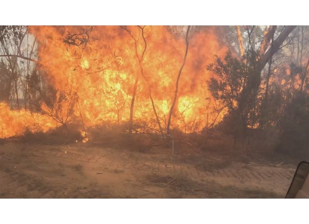 People leave their homes while a fire continues to rage in the north-west area of Melbourne.